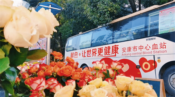 安康這三兄妹，熱血！