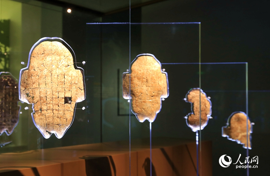 殷墟博物館展出的甲骨文。人民網(wǎng)記者 慎志遠 攝