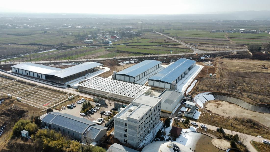 20260204091500143-83-db109.png 20260204091500143-83-db109.png